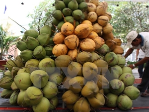 Ben Tre to host fourth coconut festival next year